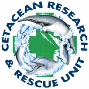 Cetacean Rescue and Research Unit (CRRU)
