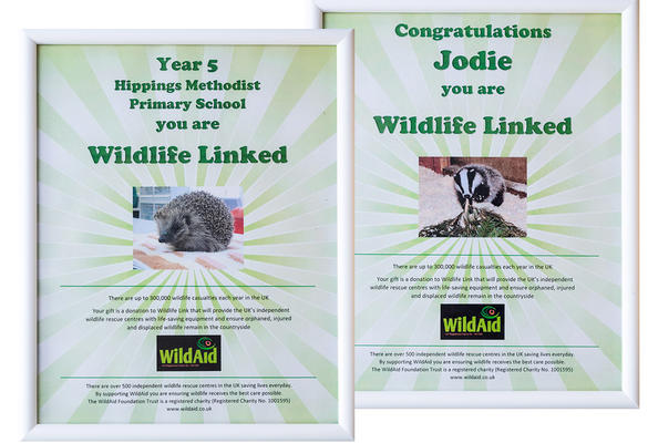Are you with Wildlife Link?