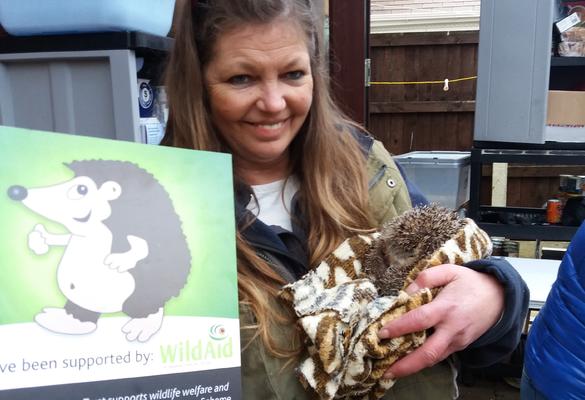 WildAid at Chorley Hedgehog Rescue Centre