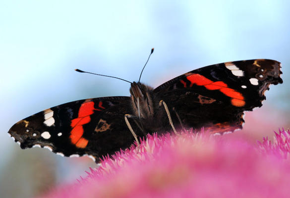 Spring into Science Week