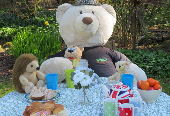 The Big Bear Picnic